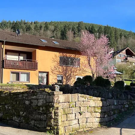Viva La Wildbad